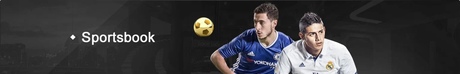phvip sports betting interface with live match dashboard